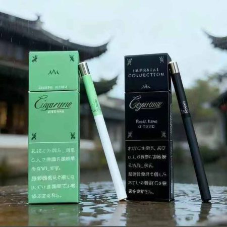 口红日版黑卡比龙