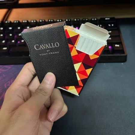 法拉利(请备注)
